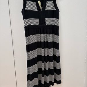 Max Studio new never worn knit dress